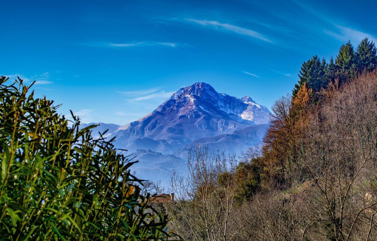 Вилла La Limonaia Di Casagrande Барга Экстерьер фото